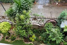 Dijual Rumah Mewah Elegan Dengan View Eksklusif di Tomang, Jakarta Barat Dijual Rumah Mewah Elegan Dengan View Eksklusif di Tomang, Jakarta Barat