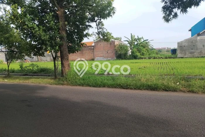 Kavling Tanah Dijual di Jombang, Jombang, Luas 4315m2 Area Strategis Kavling Tanah Dijual di Jombang, Jombang, Luas 4315m2 Area Strategis