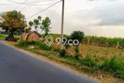 Tanah Kavling untuk Dijual di Peterongan Jombang 15800m2 Tanah Kavling untuk Dijual di Peterongan Jombang 15800m2
