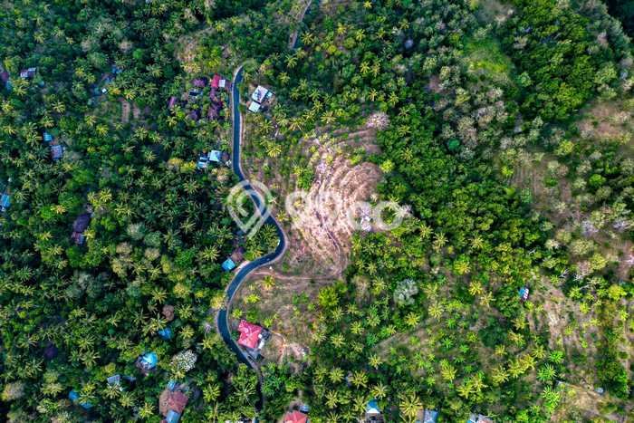 Jarang Ada! Tanah di Buleleng Punya Luas 10000m2 SHM Jarang Ada! Tanah di Buleleng Punya Luas 10000m2 SHM