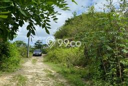 Kavling Tanah untuk Dijual di Jimbaran, Badung, Luas 200m2 Kavling Tanah untuk Dijual di Jimbaran, Badung, Luas 200m2