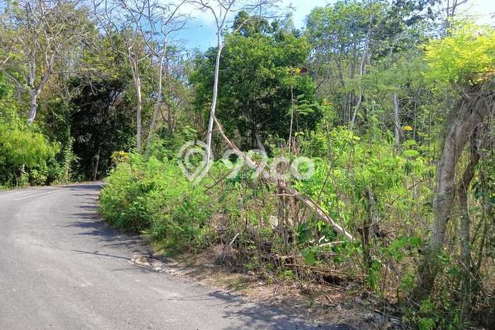 Tanah Disewakan Lokasi Pecatu Badung Luas 500m2 Tanah Disewakan Lokasi Pecatu Badung Luas 500m2