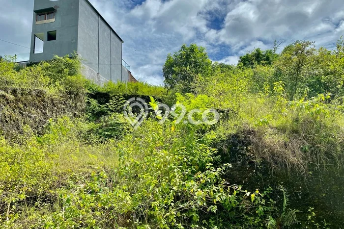 Kavling Tanah untuk Dijual di Jimbaran, Badung, Luas 200m2 Kavling Tanah untuk Dijual di Jimbaran, Badung, Luas 200m2