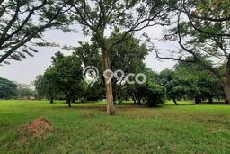 Jual Tanah di , Luas 920m2m², Kawasan Asri, Kontur Datar Jual Tanah di , Luas 920m2m², Kawasan Asri, Kontur Datar