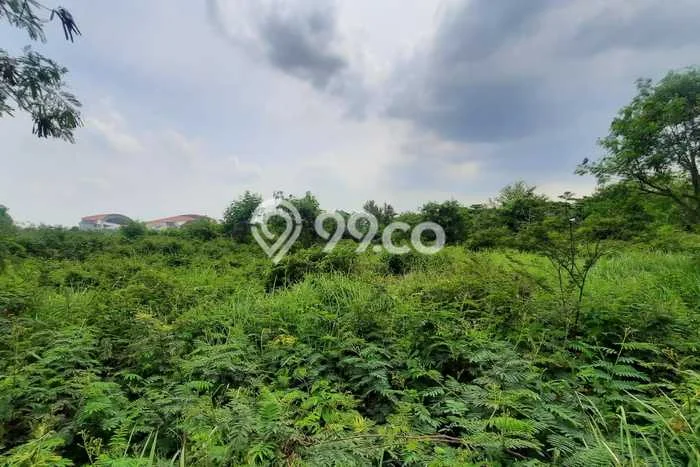Tanah Dijual Area Strategis di Jababeka Bekasi 1m2 Tanah Dijual Area Strategis di Jababeka Bekasi 1m2