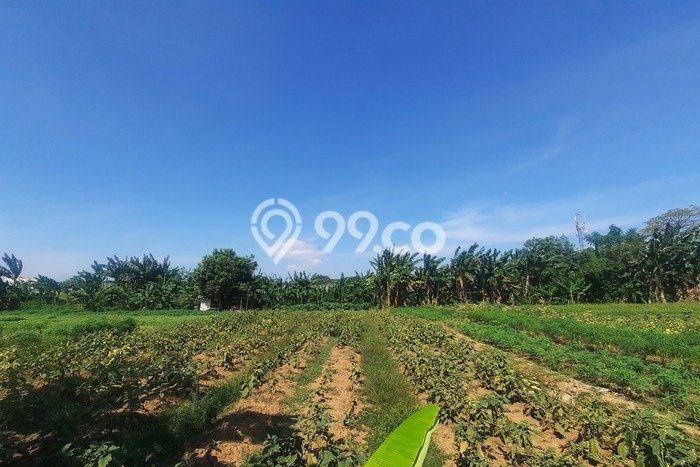 LOKASI PREMIUM! Tanah Kawasan Cibitung, Luas 14980m², Cocok untuk Investasi LOKASI PREMIUM! Tanah Kawasan Cibitung, Luas 14980m², Cocok untuk Investasi