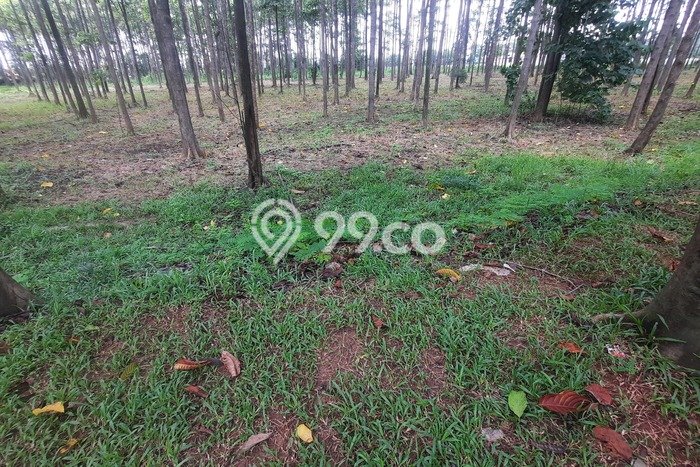 TANAH POTENSIAL! Tanah Kawasan Cikarang, Luas 48381m², Jalur Mudah TANAH POTENSIAL! Tanah Kawasan Cikarang, Luas 48381m², Jalur Mudah