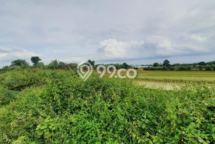 Tanah Area Berkembang di Bungursari, Luas 75915m², Kawasan Asri, Akses Bungursari, Purwakarta, Purwakarta Tanah Area Berkembang di Bungursari, Luas 75915m², Kawasan Asri, Akses Bungursari, Purwakarta, Purwakarta