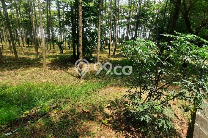 TANAH POTENSIAL! Tanah Kawasan Cikarang, Luas 48381m², Jalur Mudah TANAH POTENSIAL! Tanah Kawasan Cikarang, Luas 48381m², Jalur Mudah