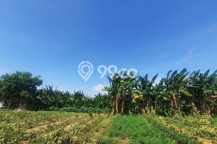 LOKASI PREMIUM! Tanah Kawasan Cibitung, Luas 14980m², Cocok untuk Investasi LOKASI PREMIUM! Tanah Kawasan Cibitung, Luas 14980m², Cocok untuk Investasi
