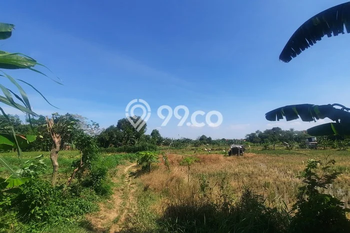 LOKASI PREMIUM! Tanah Kawasan Cibitung, Luas 14980m², Cocok untuk Investasi LOKASI PREMIUM! Tanah Kawasan Cibitung, Luas 14980m², Cocok untuk Investasi