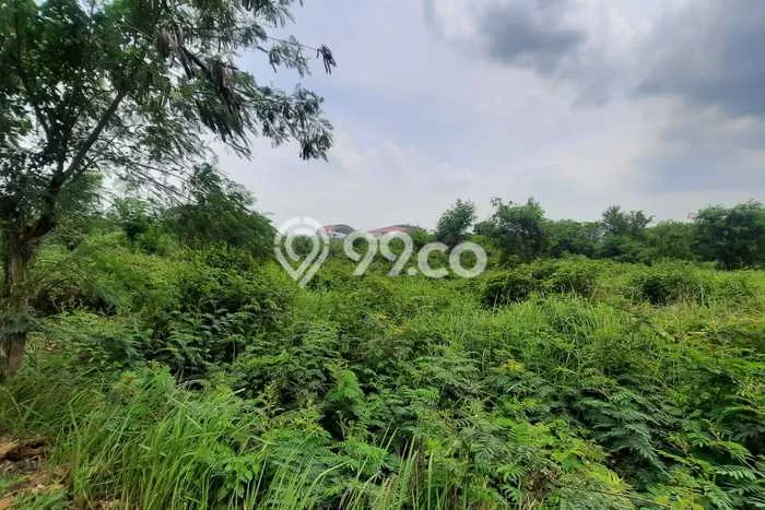 Tanah Dijual Area Strategis di Jababeka Bekasi 1m2 Tanah Dijual Area Strategis di Jababeka Bekasi 1m2