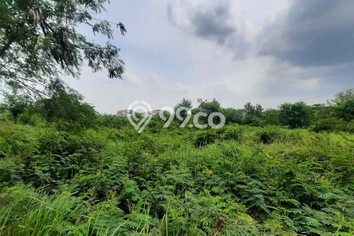 Tanah Dijual Area Strategis di Jababeka Bekasi 1m2 Tanah Dijual Area Strategis di Jababeka Bekasi 1m2