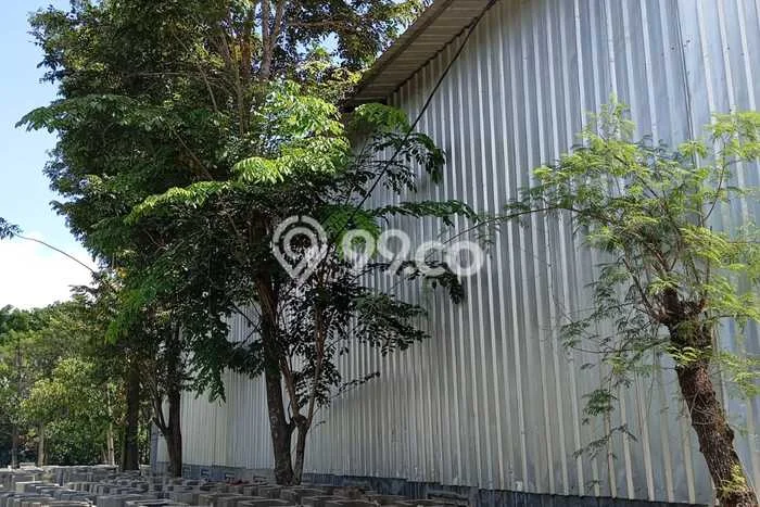 Gudang Komersial Disewakan di Tigaraksa Tangerang Luas 600m2 Gudang Komersial Disewakan di Tigaraksa Tangerang Luas 600m2