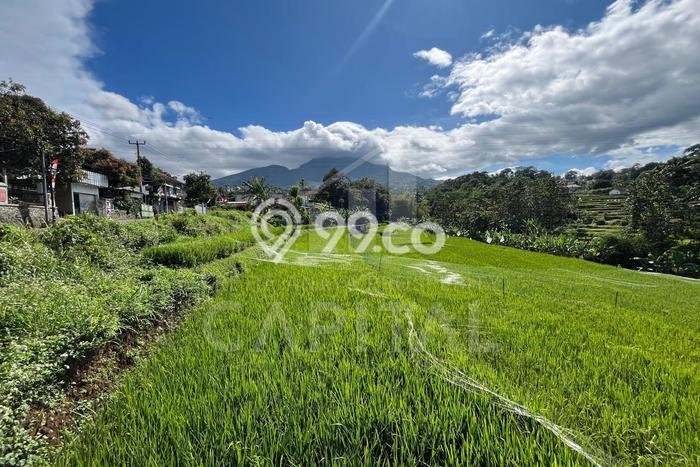 Tanah Dijual Lokasi Strategis di Bandung dengan Luas 6732m2 Tanah Dijual Lokasi Strategis di Bandung dengan Luas 6732m2