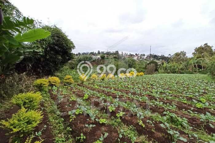 Lahan untuk Dijual Lokasi Parongpong, Bandung Barat Luas 5235m2 SHM Lahan untuk Dijual Lokasi Parongpong, Bandung Barat Luas 5235m2 SHM