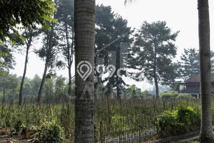 Lahan Kosong Dijual di Bandung Barat dengan Area 1555m2 Lahan Kosong Dijual di Bandung Barat dengan Area 1555m2
