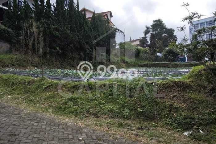 Tanah Dijual Lokasi Lembang, Bandung Barat Luas 361m2 Legalitas Aman Tanah Dijual Lokasi Lembang, Bandung Barat Luas 361m2 Legalitas Aman