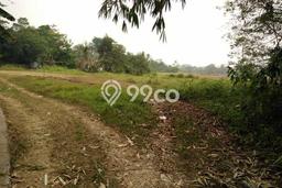 Tanah Kavling untuk Dijual di Serang Serang 3400m2 Tanah Kavling untuk Dijual di Serang Serang 3400m2