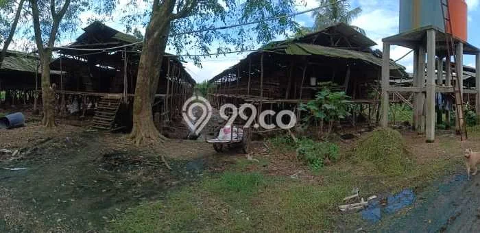 Tanah Dijual Lokasi Mauk, Tangerang dengan Luas Tanah 32000m2 dan Status SHM Tanah Dijual Lokasi Mauk, Tangerang dengan Luas Tanah 32000m2 dan Status SHM