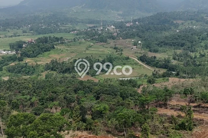 Lahan Strategis di Jonggol Dijual dengan Luas 100m2 Lahan Strategis di Jonggol Dijual dengan Luas 100m2