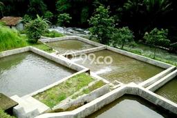 Lahan Strategis di Pamijahan Dijual dengan Luas 1800m2 Lahan Strategis di Pamijahan Dijual dengan Luas 1800m2