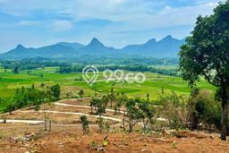 Tanah untuk Dijual di Tanjungsari Bogor Luas 100m2 Tanah untuk Dijual di Tanjungsari Bogor Luas 100m2