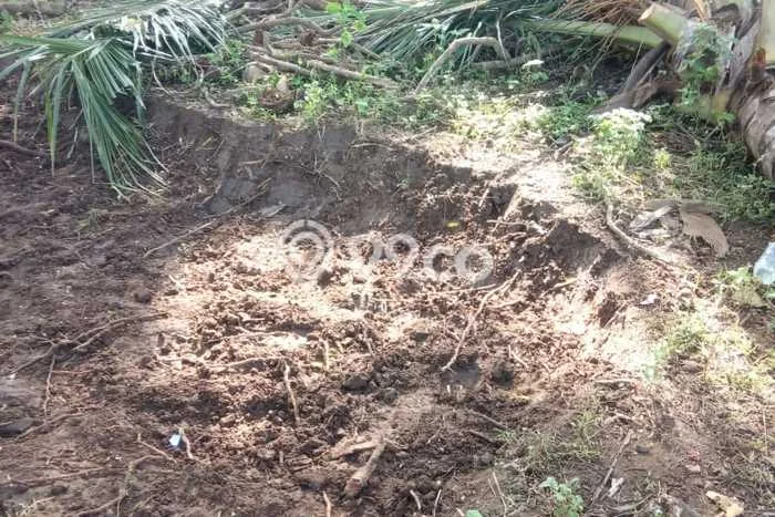 Jarang Ada! Tanah di Purworejo Punya Luas 1600m2 SHM Jarang Ada! Tanah di Purworejo Punya Luas 1600m2 SHM