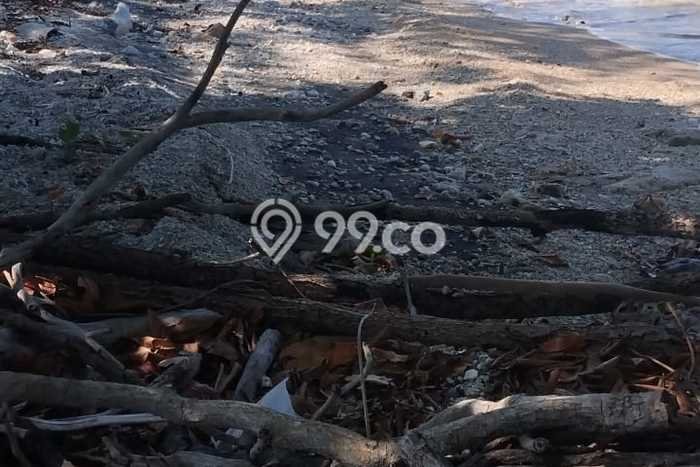 Lahan Kosong Dijual di Sumbawa dengan Area 10000m2 Lahan Kosong Dijual di Sumbawa dengan Area 10000m2