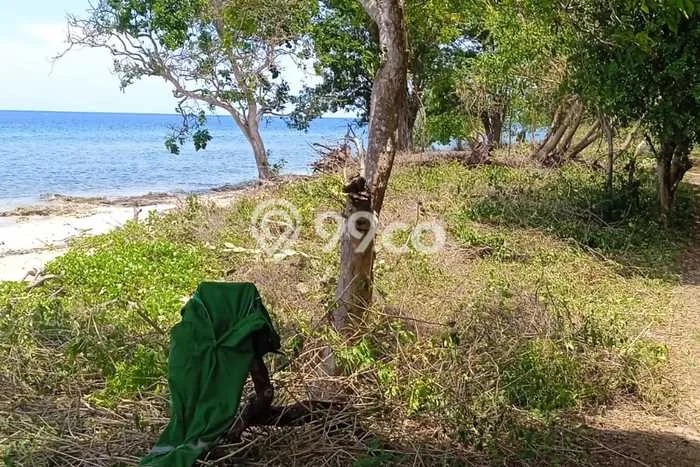 Tanah di Sumbawa, Sumbawa Luas 2700m2 Dijual Segera Tanah di Sumbawa, Sumbawa Luas 2700m2 Dijual Segera
