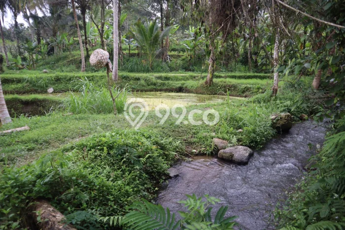 Tanah Dijual Lokasi Baturiti, Tabanan Luas 8700m2 Legalitas Aman Tanah Dijual Lokasi Baturiti, Tabanan Luas 8700m2 Legalitas Aman