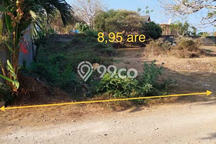 Tanah Kavling Dijual di Badung dengan Spesifikasi 895m2 Tanah Kavling Dijual di Badung dengan Spesifikasi 895m2