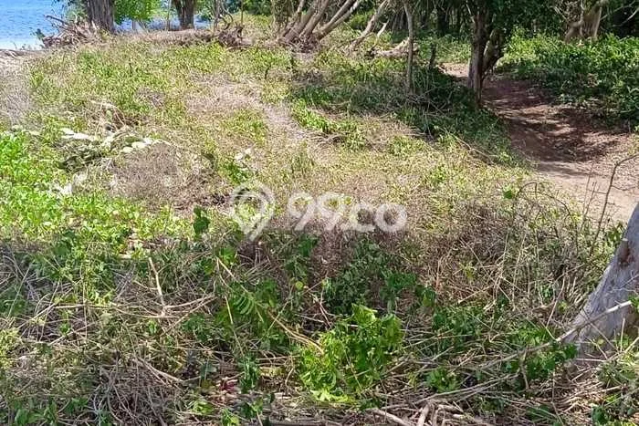 Tanah di Sumbawa, Sumbawa Luas 2700m2 Dijual Segera Tanah di Sumbawa, Sumbawa Luas 2700m2 Dijual Segera