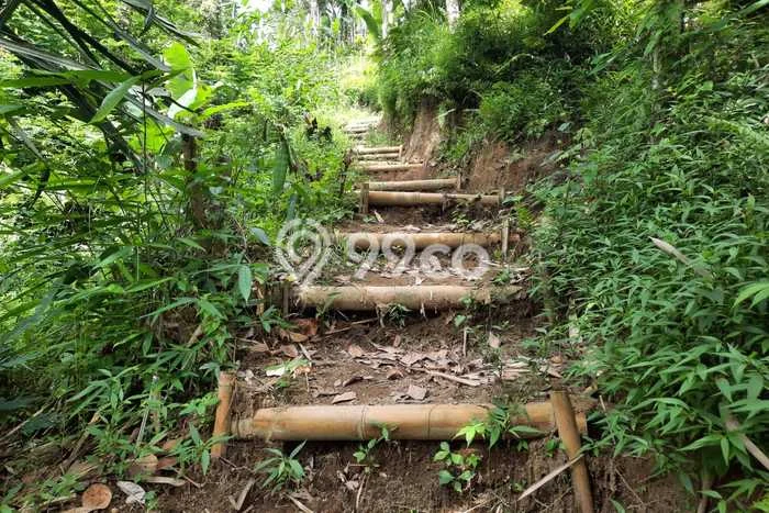 Untuk Dijual Tanah di Payangan Gianyar Luas 30000m2 SHM Untuk Dijual Tanah di Payangan Gianyar Luas 30000m2 SHM