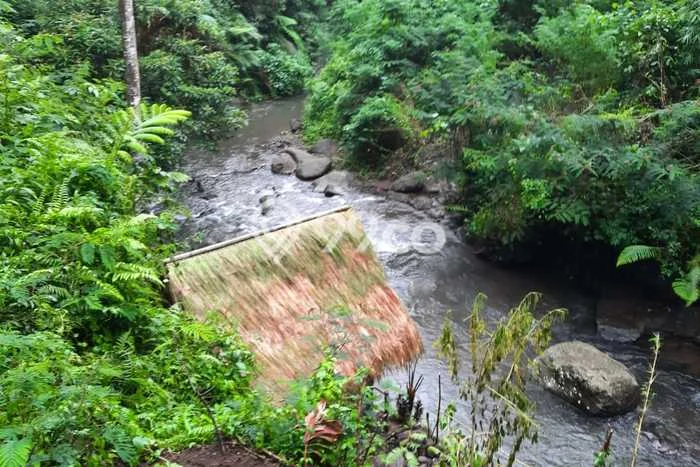 Untuk Dijual Tanah di Payangan Gianyar Luas 30000m2 SHM Untuk Dijual Tanah di Payangan Gianyar Luas 30000m2 SHM