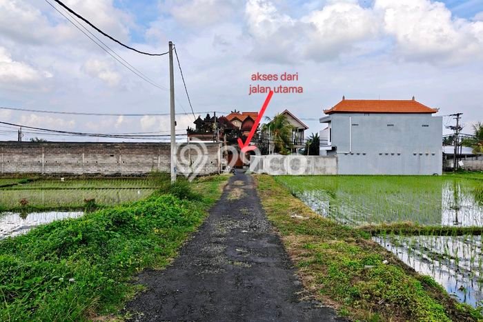 LOKASI STRATEGIS! Tanah Kawasan Kedungu, Luas 210m², Kawasan Potensial, Cocok untuk Investasi LOKASI STRATEGIS! Tanah Kawasan Kedungu, Luas 210m², Kawasan Potensial, Cocok untuk Investasi