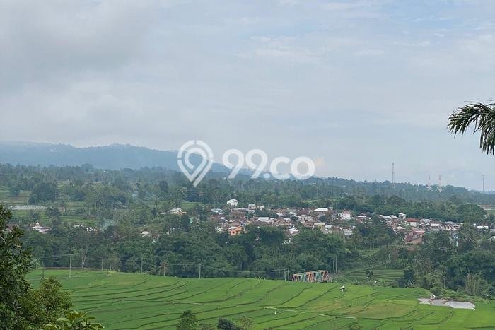 Tanah Dijual Lokasi Pekalongan Barat, Pekalongan Luas 3200m2 Legalitas Aman Tanah Dijual Lokasi Pekalongan Barat, Pekalongan Luas 3200m2 Legalitas Aman