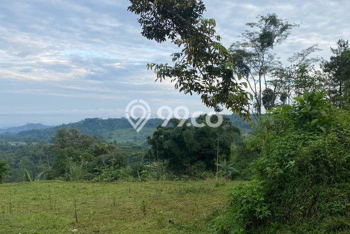 Tanah Dijual Lokasi Pekalongan Barat, Pekalongan Luas 3200m2 Legalitas Aman Tanah Dijual Lokasi Pekalongan Barat, Pekalongan Luas 3200m2 Legalitas Aman