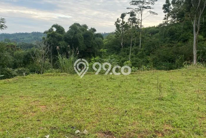 Tanah Dijual Lokasi Bojong Tegal SHM Tanah Dijual Lokasi Bojong Tegal SHM