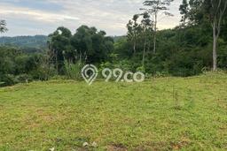 Tanah untuk Dijual di Bojong Tegal Luas 3200m2 Tanah untuk Dijual di Bojong Tegal Luas 3200m2