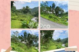 Untuk Dijual Tanah di Banjarnegara Banjarnegara Luas 9030m2 SHM Untuk Dijual Tanah di Banjarnegara Banjarnegara Luas 9030m2 SHM