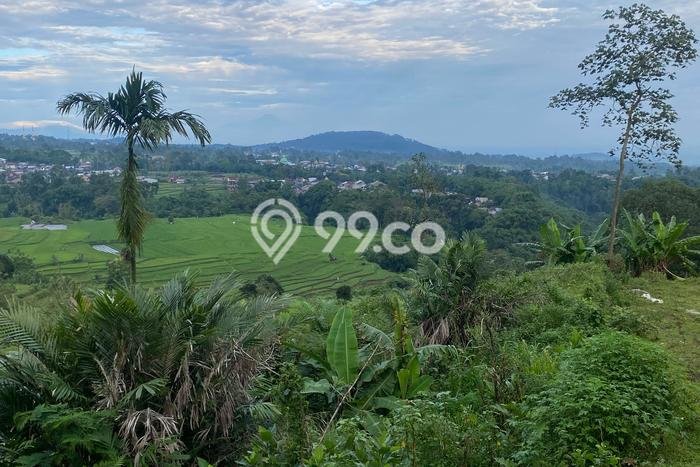 Tanah Dijual Lokasi Bojong Tegal SHM Tanah Dijual Lokasi Bojong Tegal SHM