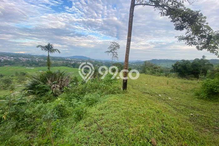 Tanah Dijual Lokasi Bojong Tegal SHM Tanah Dijual Lokasi Bojong Tegal SHM