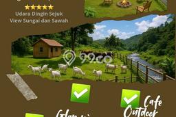 Lahan Strategis di Moga Dijual dengan Luas 9030m2 Lahan Strategis di Moga Dijual dengan Luas 9030m2