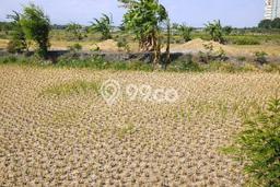 Tanah Strategis Dijual di Mulyorejo Surabaya 9300m2 Tanah Strategis Dijual di Mulyorejo Surabaya 9300m2