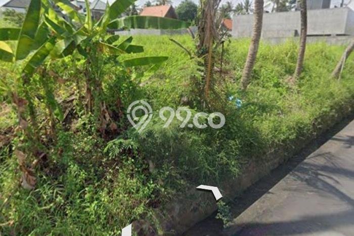 Tanah Dijual Area Strategis di Ketewel Gianyar 1000m2 Tanah Dijual Area Strategis di Ketewel Gianyar 1000m2