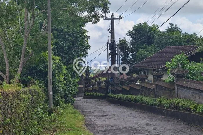 Tanah Dijual Area Strategis di Balangan Badung 1000m2 Tanah Dijual Area Strategis di Balangan Badung 1000m2