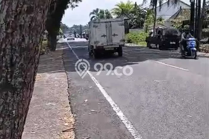 Tanah Siap Bangun Dijual di Tabanan Punya Luas 4700m2 Tanah Siap Bangun Dijual di Tabanan Punya Luas 4700m2