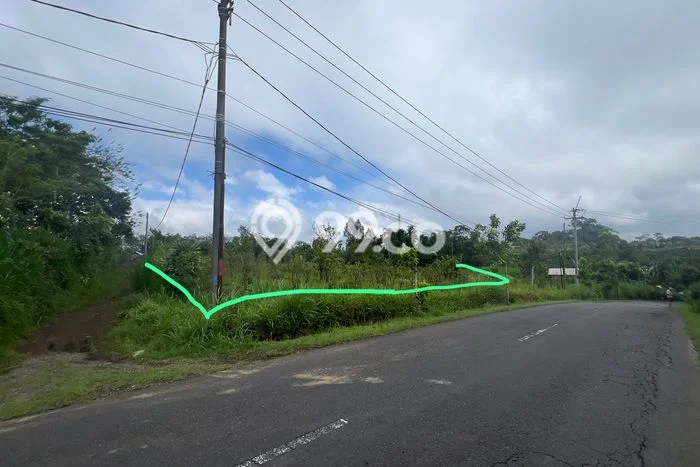Tanah Kavling Dijual di Bangli dengan Spesifikasi 3000m2 Tanah Kavling Dijual di Bangli dengan Spesifikasi 3000m2