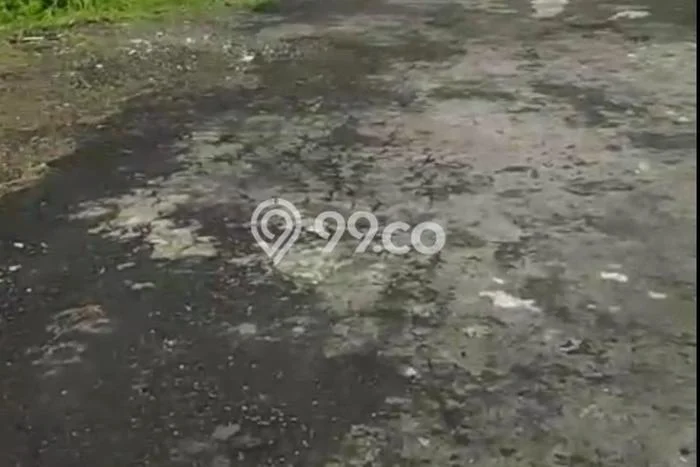 Dijual Tanah 423m2 di Dalung, Badung Dijual Tanah 423m2 di Dalung, Badung